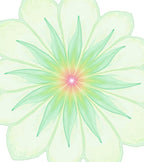 Pastel Bloom Mandala Rug