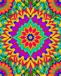 Vibrant Floral Kaleidoscope Pattern Rug