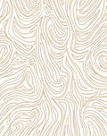 Abstract Swirls Organic Design Rug