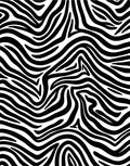 Bold Black and White Zebra Print Rug