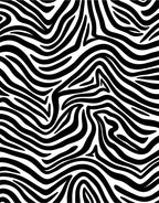 Bold Black and White Zebra Print Rug