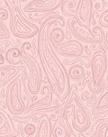 Pink Paisley Contour Abstract Design Rug