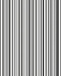 Bold Vertical Stripe Pattern Rug