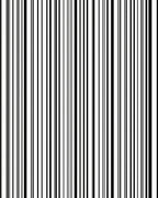 Bold Vertical Stripe Pattern Rug