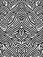 Monochromatic Bold Organic Lines Rug