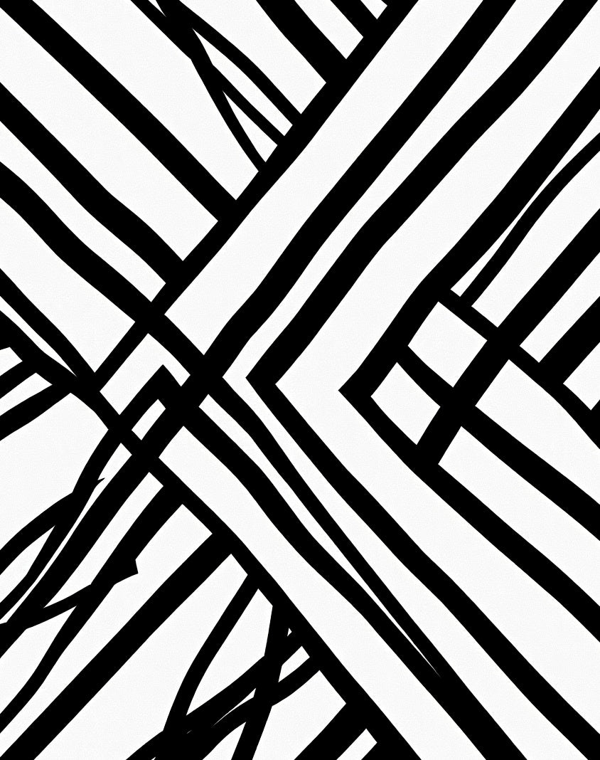 Bold Black White Abstract Stripe Design Rug
