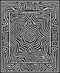 Bold Black And White Maze Rug