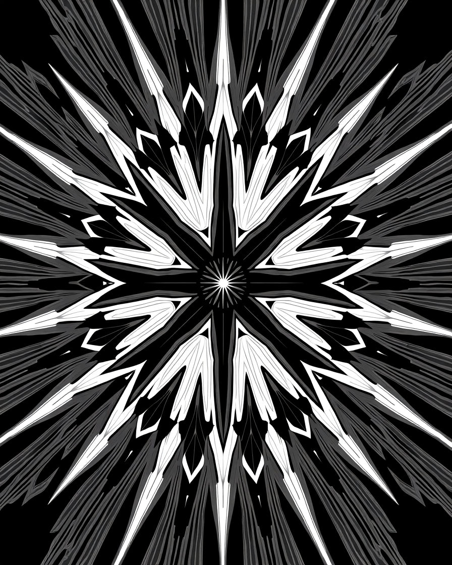 Abstract Mono Starburst Design Rug
