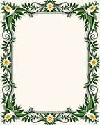 Vine and Daisy Border Design Rug
