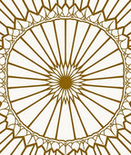 Intricate Sunburst Radial Pattern Design Rug