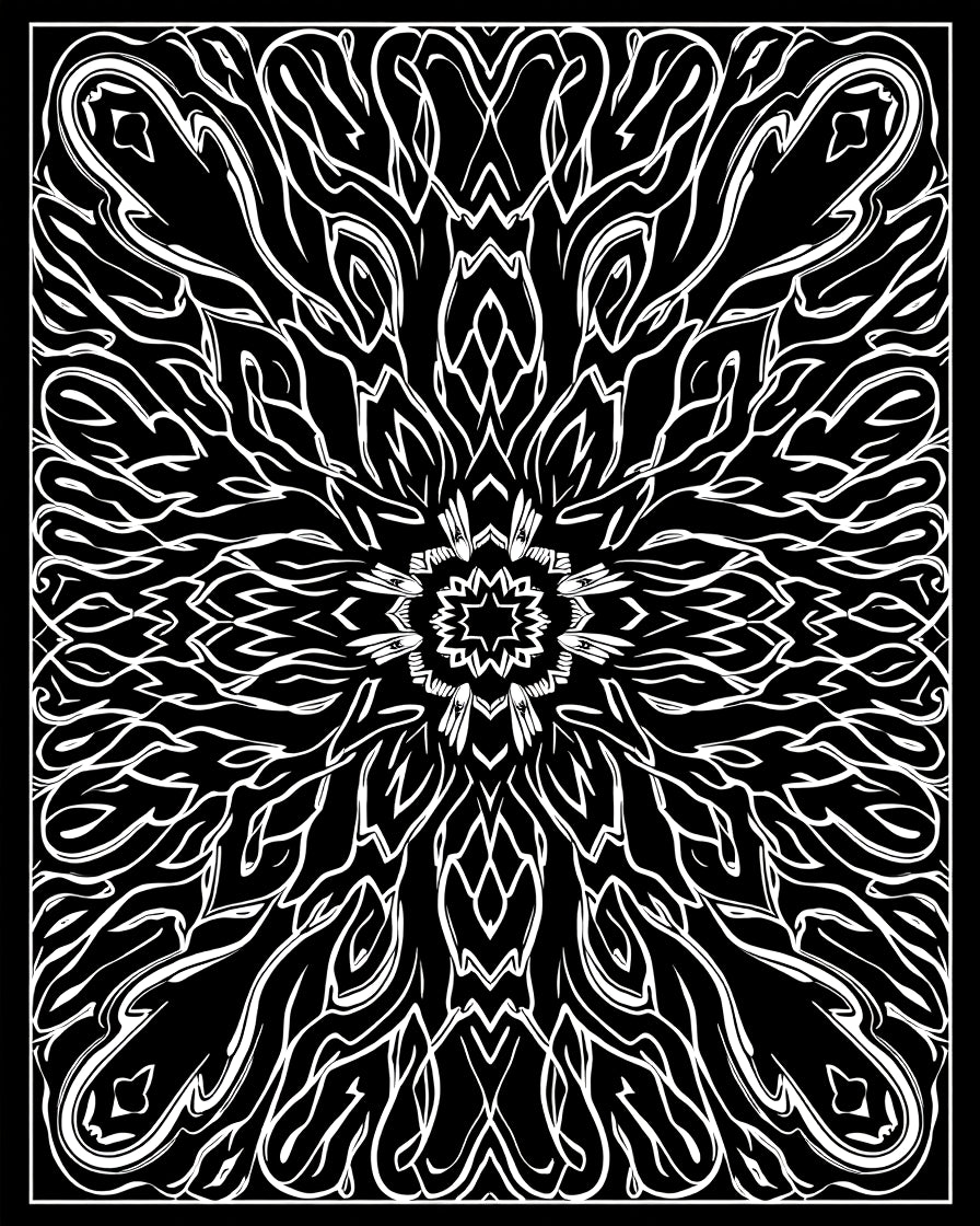 Bold Black White Symmetrical Design Rug