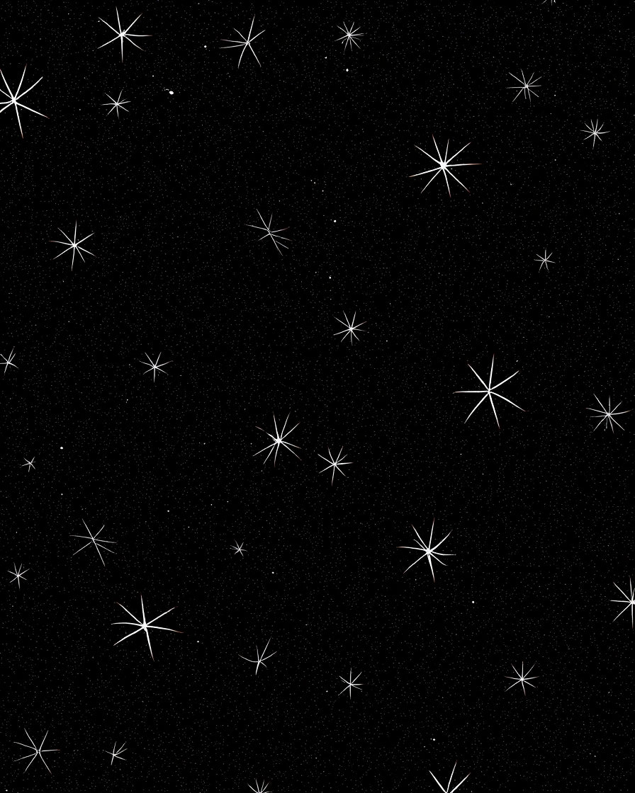 Black Starburst Pattern Rug