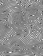 Black and White Abstract Contour Lines Rug