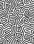 Black White Organic Maze Pattern Rug