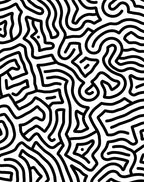 Black White Organic Maze Pattern Rug