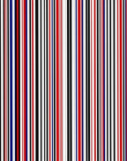 Bold Vertical Stripe Pattern Rug
