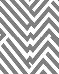 Modern Linear Geometric Pattern Rug