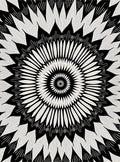 Monochromatic Radial Floral Pattern Rug