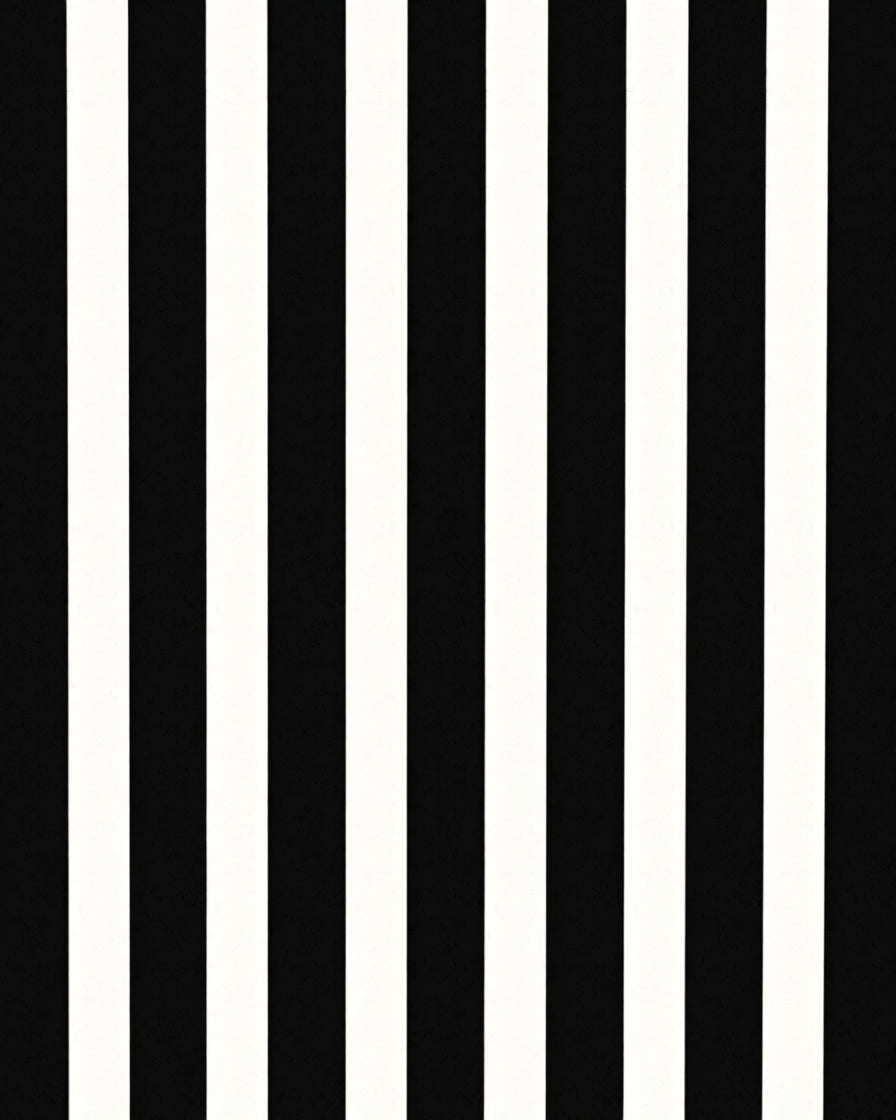 Bold Black and White Stripes Rug
