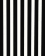 Bold Black and White Stripes Rug