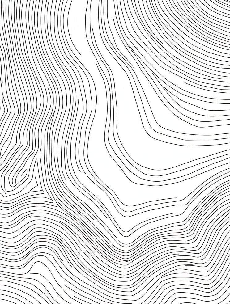 Contour Lines Abstract Modern Rug