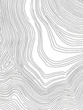 Contour Lines Abstract Modern Rug
