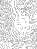 Contour Lines Abstract Modern Rug