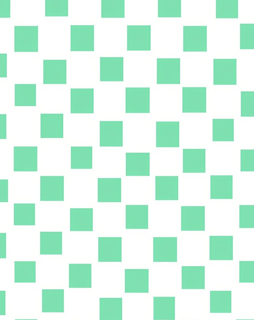 Mint Green Squared Pattern Rug