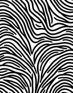 Bold Black White Wavy Stripes Rug