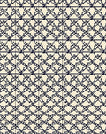 Intricate Lattice Patterned Rug