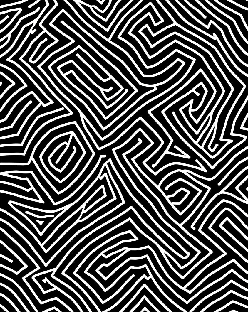 Bold Black White Labyrinth Pattern Rug