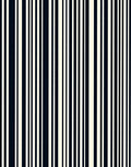 Bold Vertical Stripe Pattern Rug