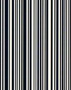 Bold Vertical Stripe Pattern Rug