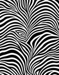 Black And White Wavy Stripe Pattern Rug