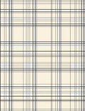 Classic Black White Plaid Pattern Rug