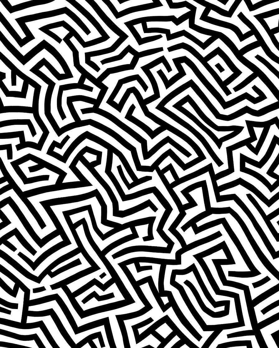 Intricate Black White Maze Pattern Rug