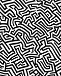 Intricate Black White Maze Pattern Rug