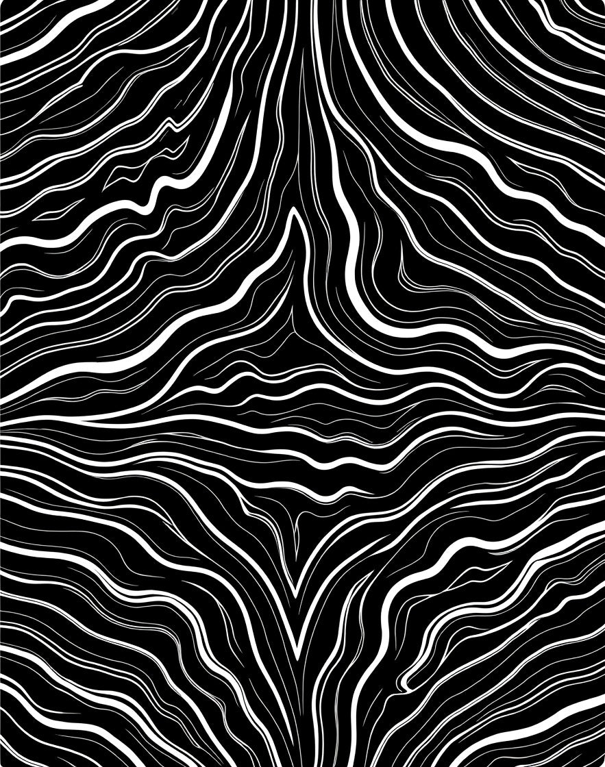Abstract Black White Flowing Lines Rug