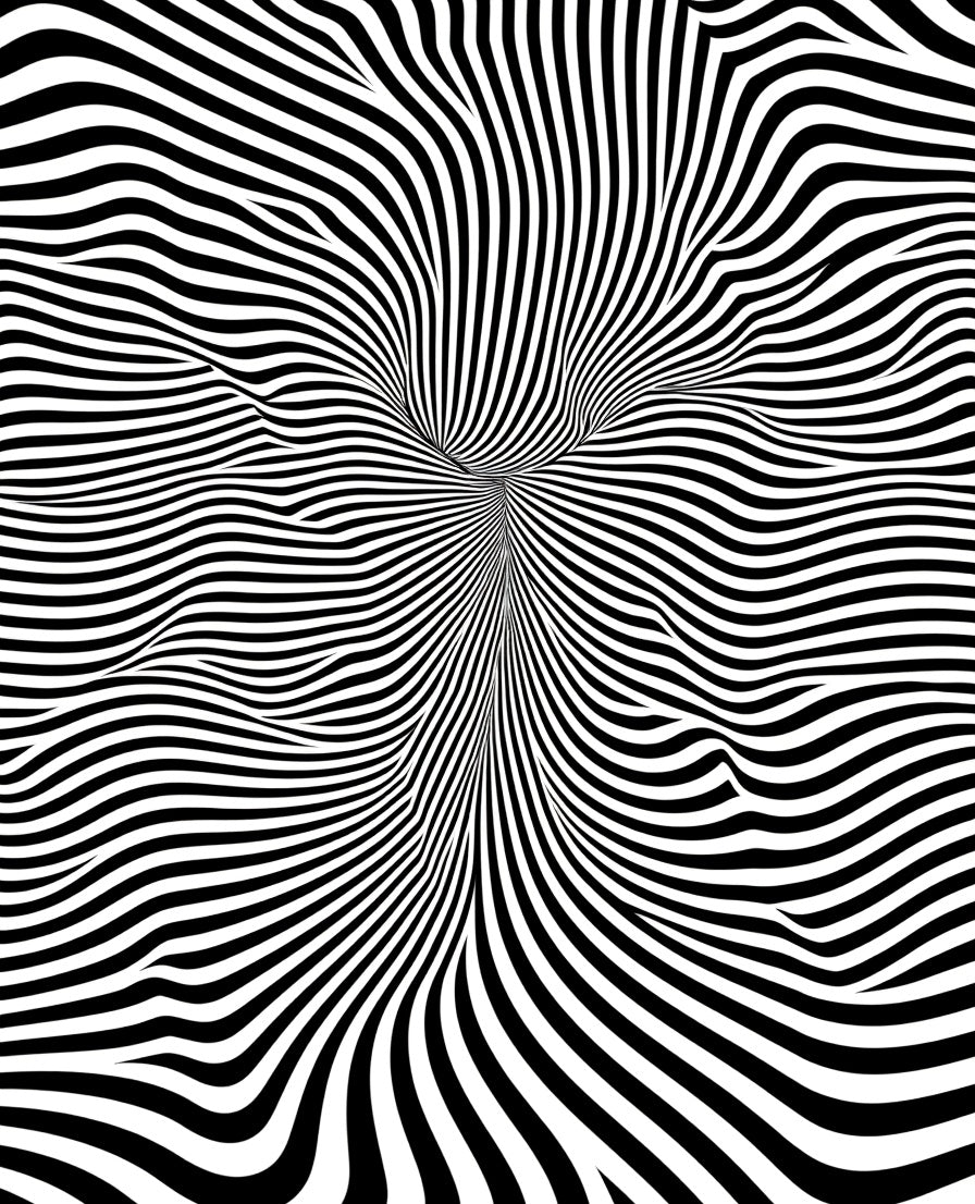 Wavy Black White Optical Illusion Rug