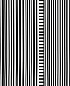 Graphic Black White Vertical Barcode Pattern Rug