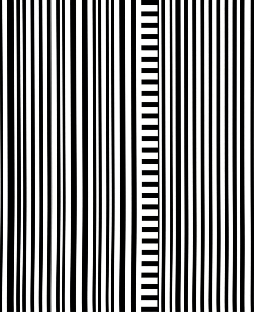 Graphic Black White Vertical Barcode Pattern Rug