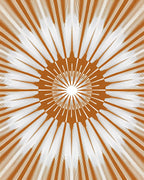 Radiating Lines Geometric Pattern Rug