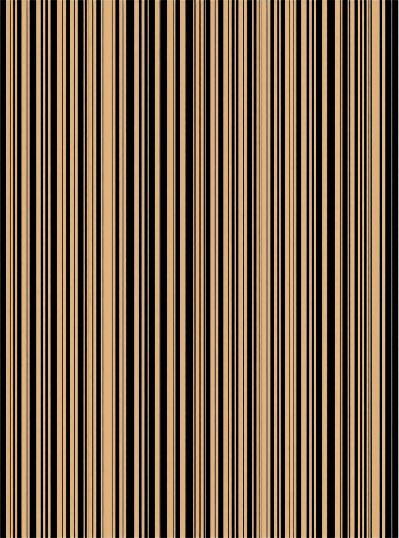 Modern Black Tan Stripe Design Rug