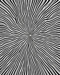 Radiating Organic Wave Pattern Rug