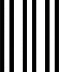 Bold Black White Stripe Design Rug