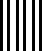 Bold Black White Stripe Design Rug