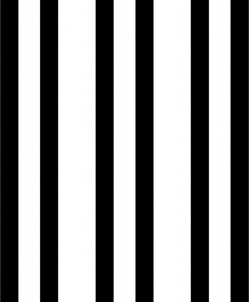 Bold Black White Stripe Design Rug
