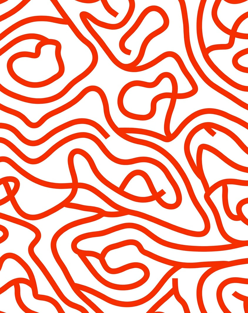 Bold Abstract Red Contour Pattern Rug