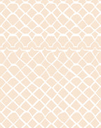Cream Lattice Geometric Weave Rug