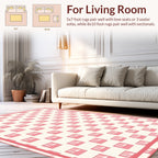 Delicate Pink Window Pattern Design Rug